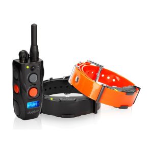 Dogtra® ARC 802