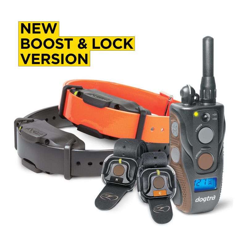 Dogtra® ARC802 FREE Plus