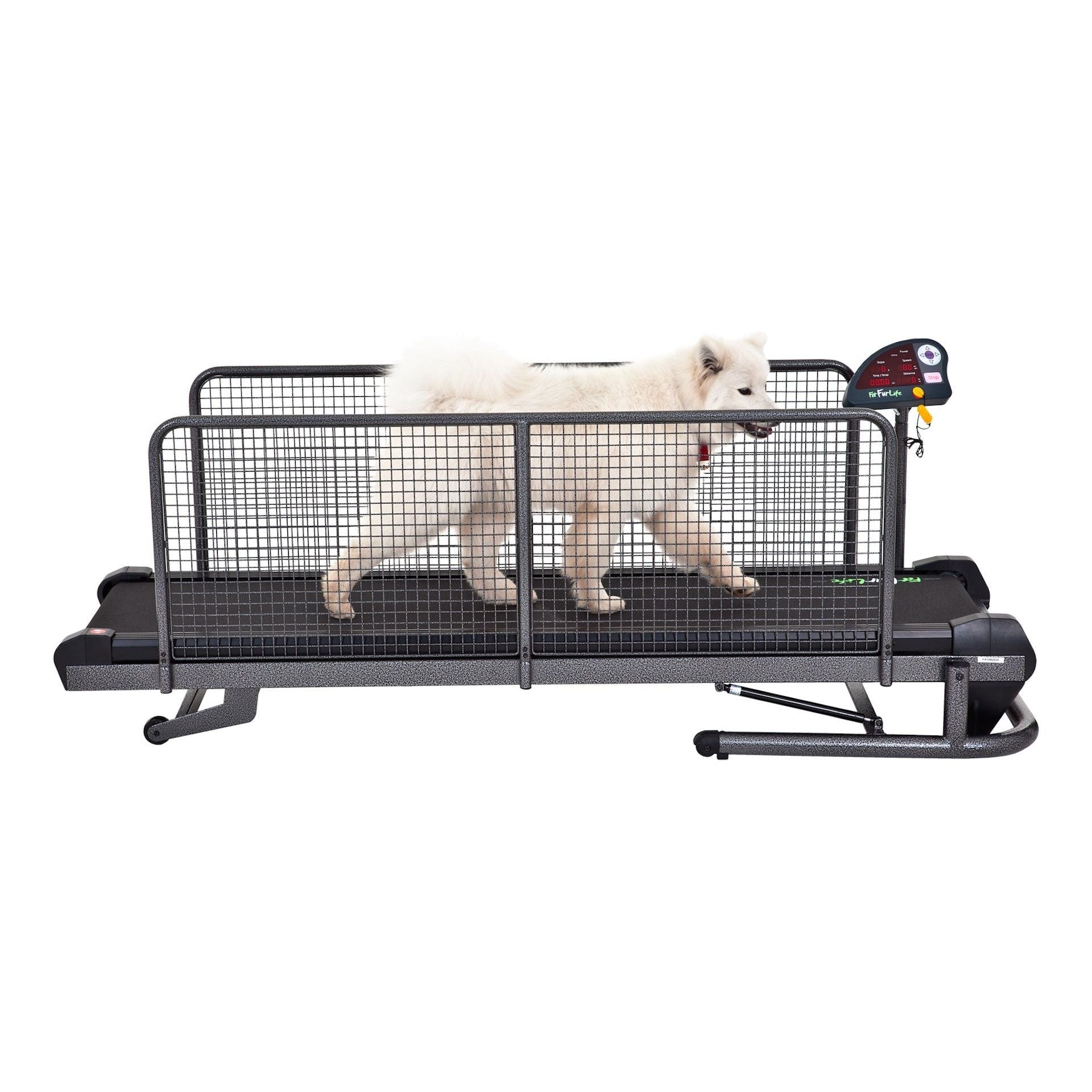 Cinta de correr Superior para perros