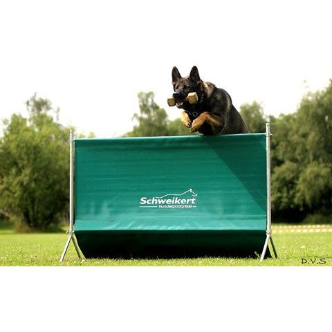 Foldable training jump