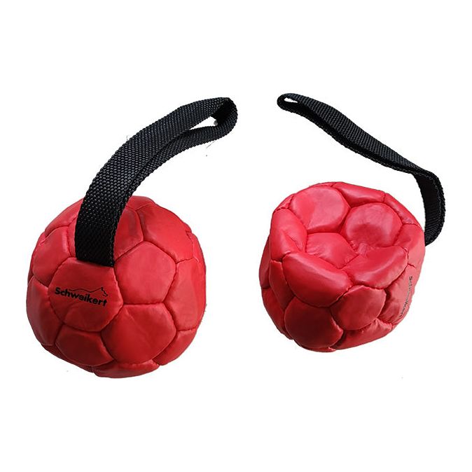 Pelota de Piel con Asa Rellena de Aire