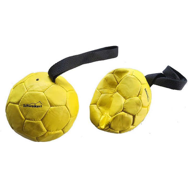 Pelota de Piel con Asa Rellena de Aire