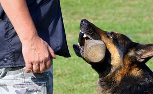 Apports y Accesorios IGP