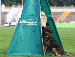 Obstáculos y Escondites Reglamentarios