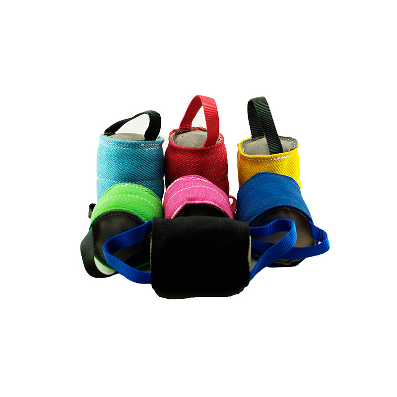 Cilindro entrenamiento Schweikert apport - Imagen 2