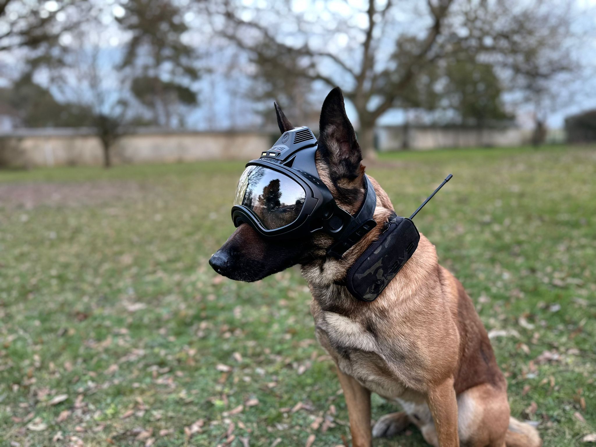 K9 Vision System - Dark System OPS