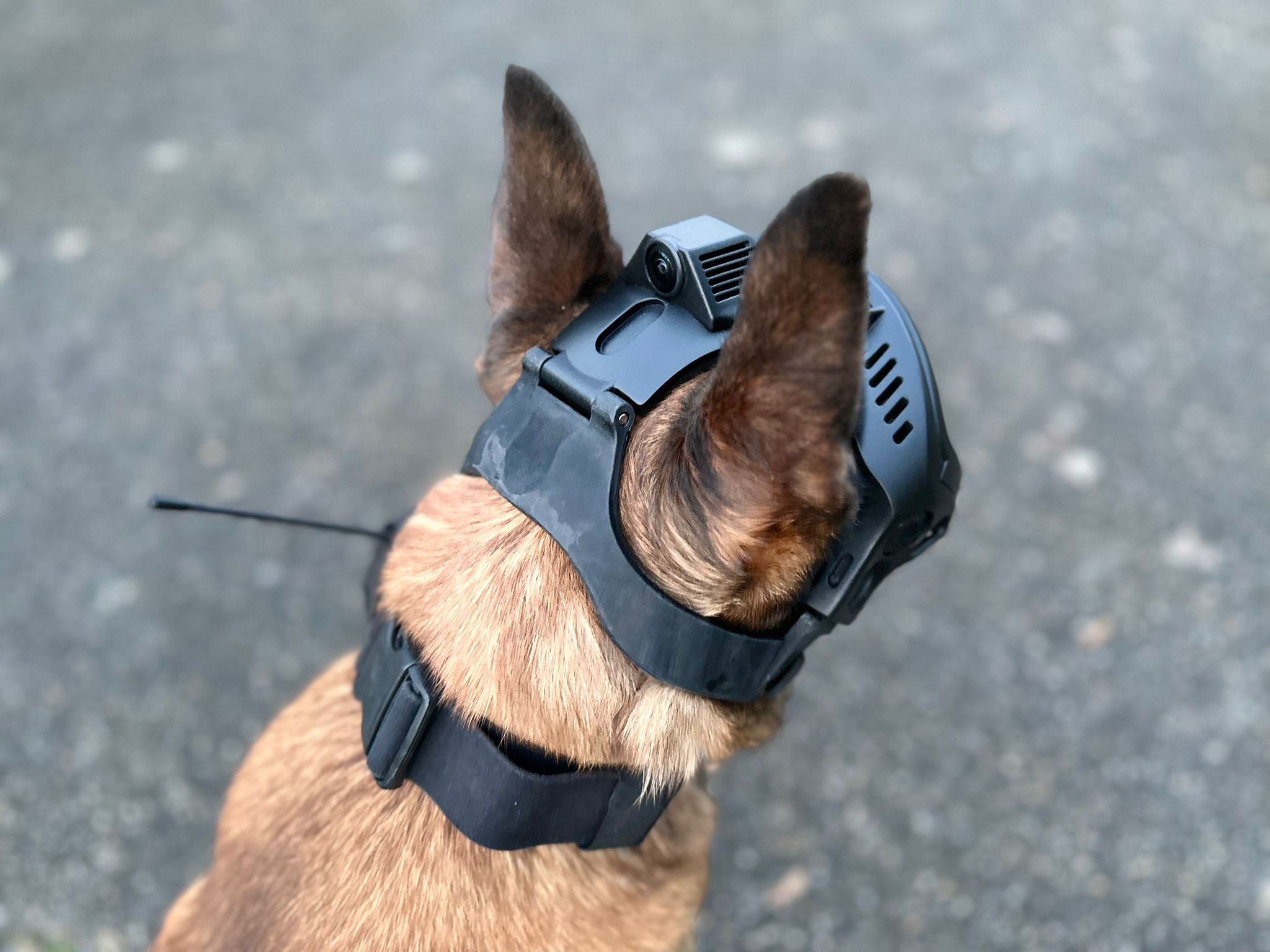 K9 Vision System - Dark System OPS - Imagen 4