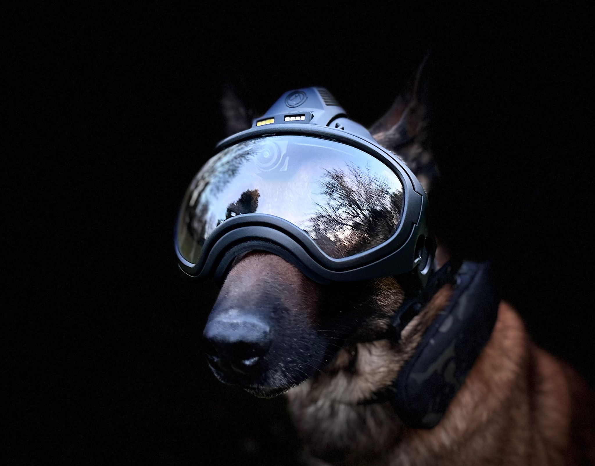 K9 Vision System - Dark System OPS - Imagen 3