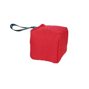 CUBO – Pelota grande Mordedor de motivación para perros | Cubo grande profesional