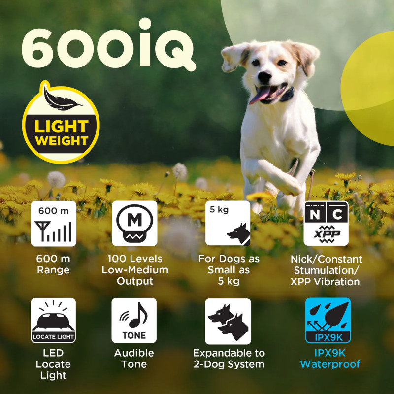 Dogtra 600iQ collar electrónico de adiestramiento para perros con alcance de 600 metros e impermeable.
