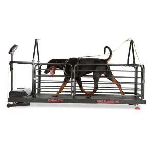 Ortho pro cinta de correr con perro corriendo