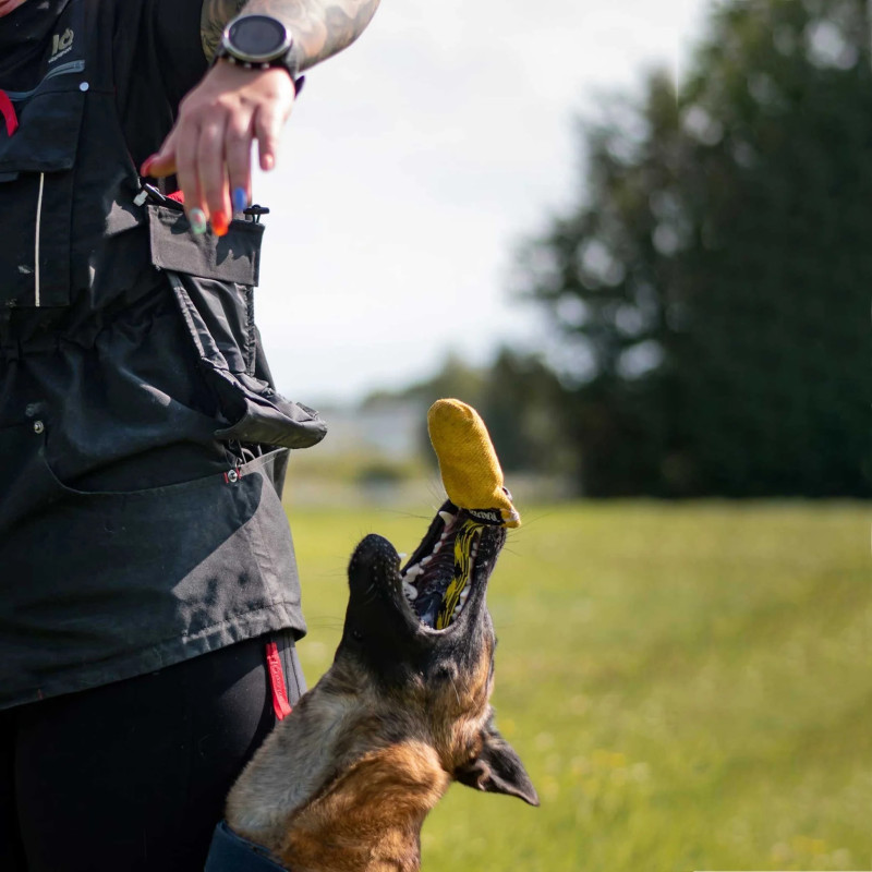 Accesorio para ocultar la recompensa durante el adiestramiento canino