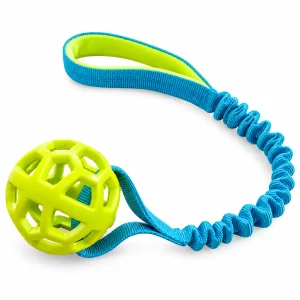 Pelota verde de rejilla con asa elástica azul para perros